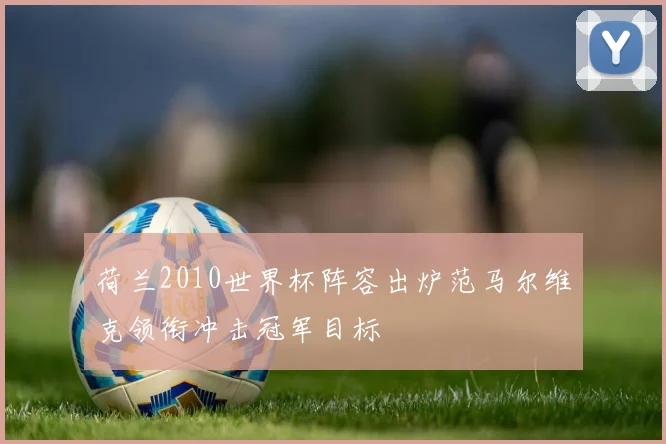 荷兰2010世界杯阵容出炉范马尔维克领衔冲击冠军目标