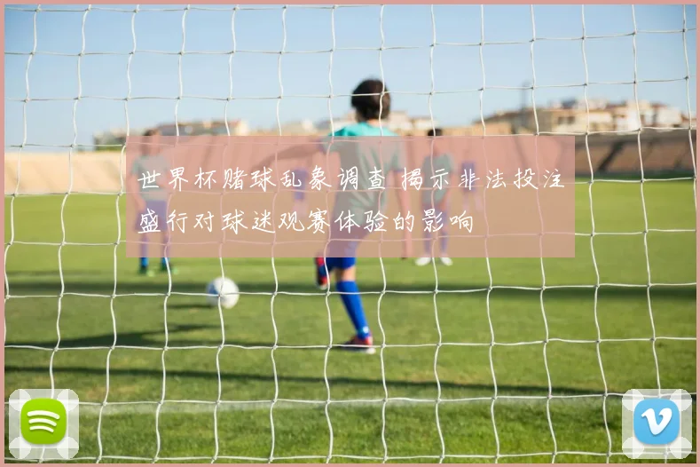 世界杯赌球乱象调查 揭示非法投注盛行对球迷观赛体验的影响