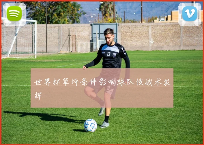 世界杯草坪条件影响球队技战术发挥
