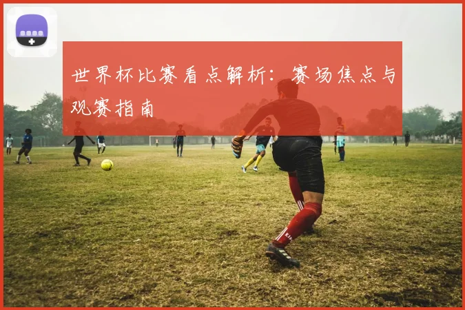 世界杯比赛看点解析:赛场焦点与观赛指南