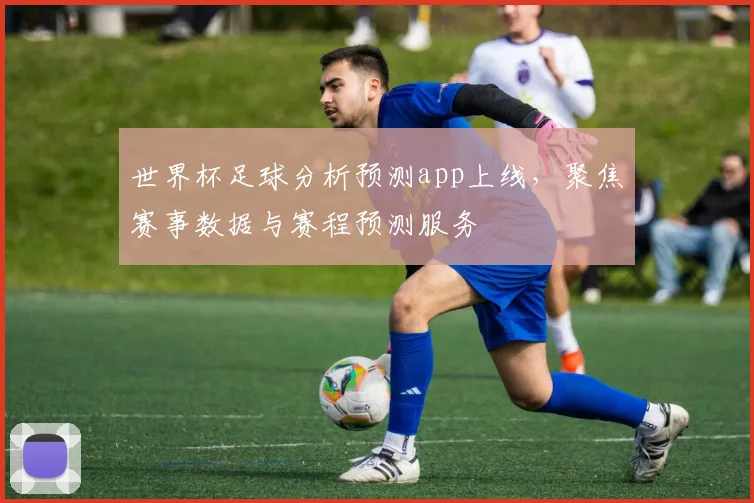 世界杯足球分析预测app上线，聚焦赛事数据与赛程预测服务