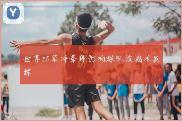 世界杯草坪条件影响球队技战术发挥